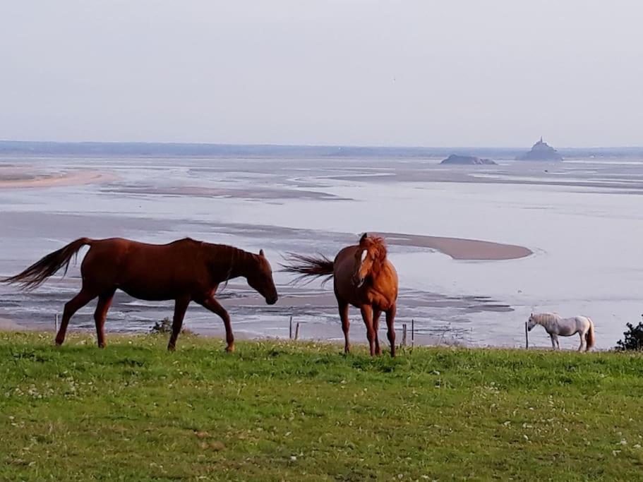 Maison Vue Sur Le Mont Saint Michel Et Sa Baie Champeaux 外观 照片